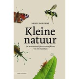 Kleine natuur - De wonderbaarlijke soortenrijkdom van een stadstuin