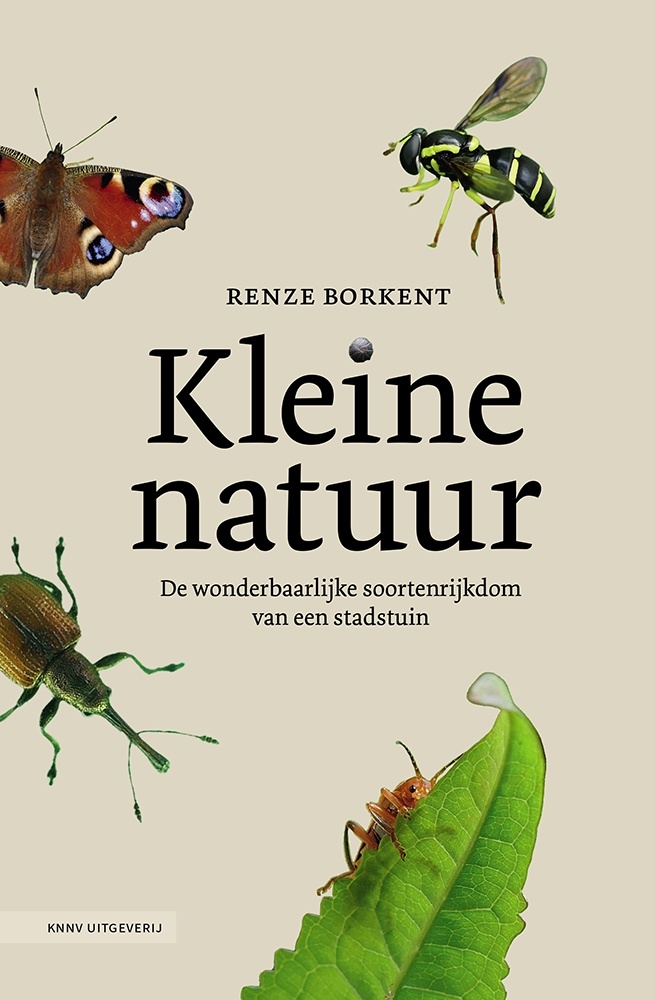 Kleine natuur - De wonderbaarlijke soortenrijkdom van een stadstuin