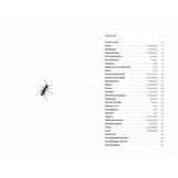 Kleine natuur - De wonderbaarlijke soortenrijkdom van een stadstuin