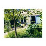 Kleine natuur - De wonderbaarlijke soortenrijkdom van een stadstuin