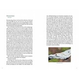 Kleine natuur - De wonderbaarlijke soortenrijkdom van een stadstuin