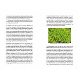 Kleine natuur - De wonderbaarlijke soortenrijkdom van een stadstuin