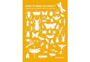 How to Read an Insect