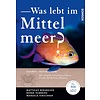 Was lebt im Mittelmeer?