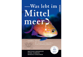 Was lebt im Mittelmeer?