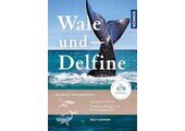 Wale und Delfine