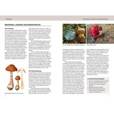 Das Kosmos Handbuch Pilze