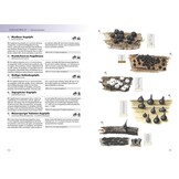 Das Kosmos Handbuch Pilze