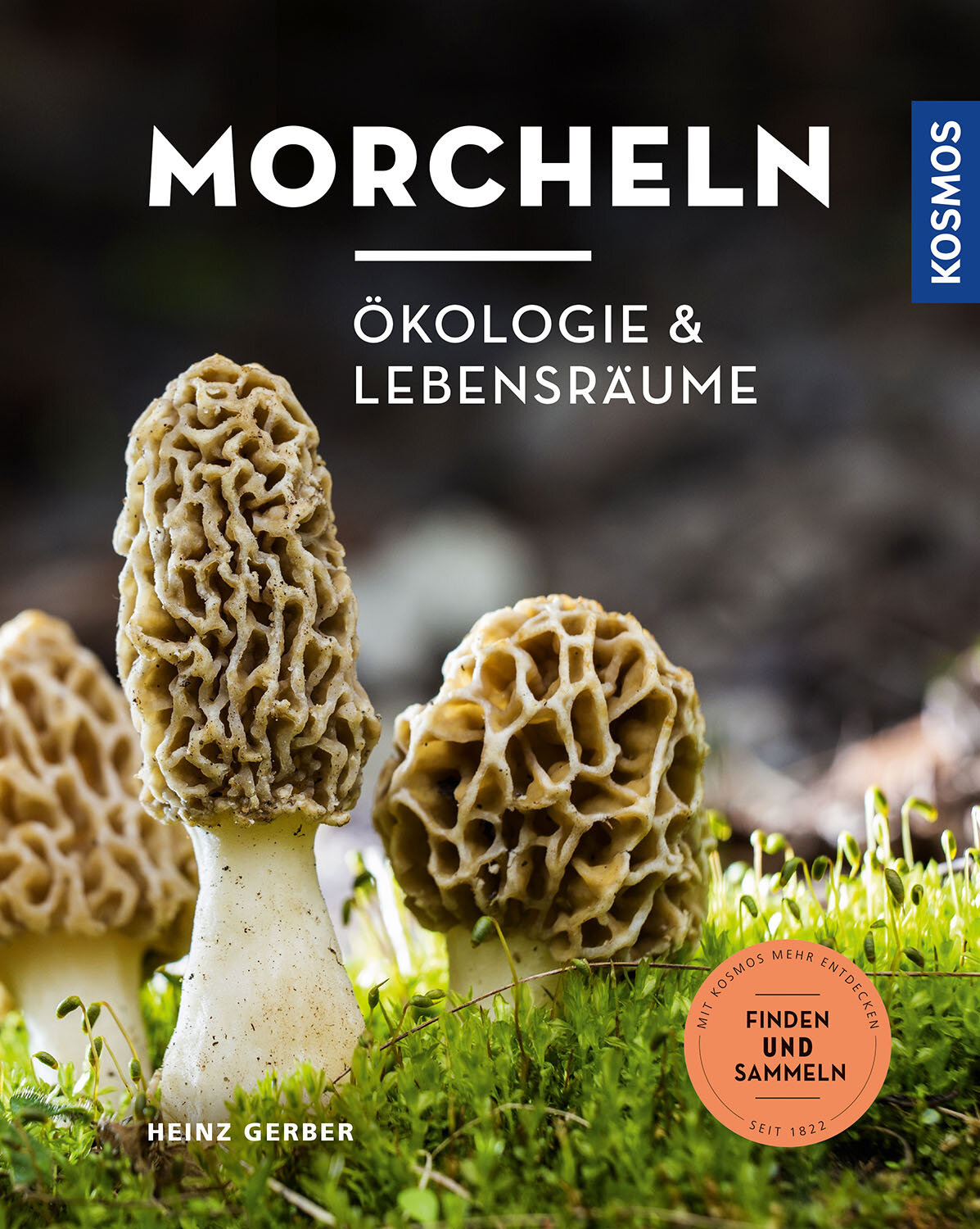 Morcheln - Ökologie und Lebensräume