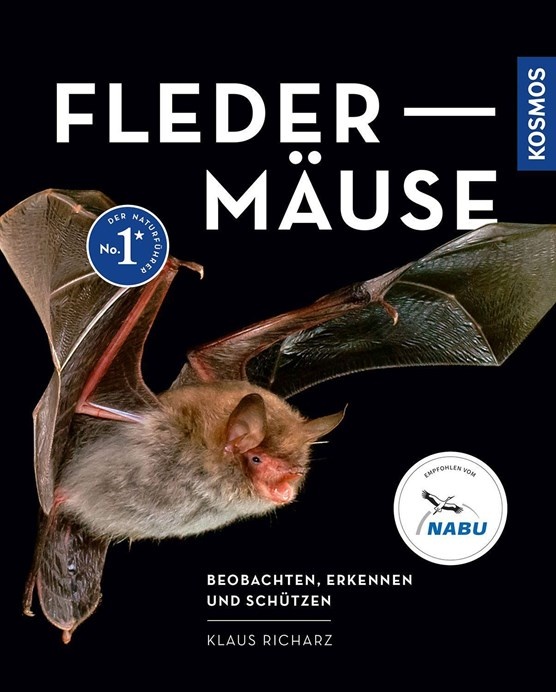 Fledermäuse - Beobachten, erkennen und schützen