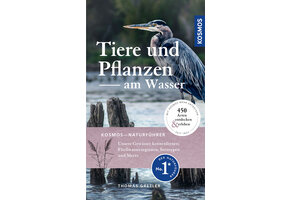Tiere und Pflanzen am Wasser