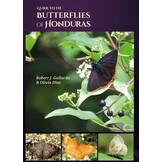 Guide to the Butterflies of Honduras