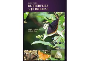 Guide to the Butterflies of Honduras