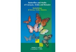 Butterflies and Moths of Curacao, Aruba and Bonaire