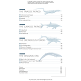 Ocean Life in the Time of Dinosaurs