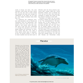 Ocean Life in the Time of Dinosaurs