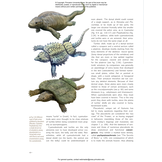 Ocean Life in the Time of Dinosaurs