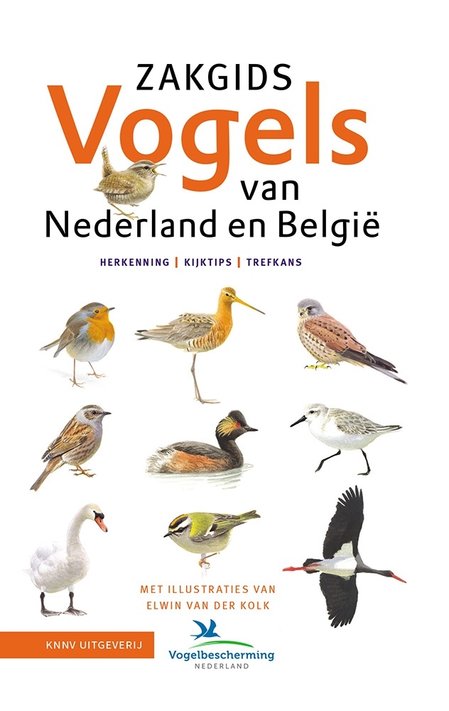 Zakgids Vogels van Nederland en België - herkenning - kijktips - trefkans