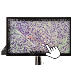 Euromex UHD-4K Touch camera