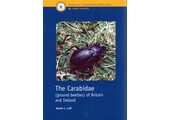 The Carabidae (ground beetles) of Britain and Ireland