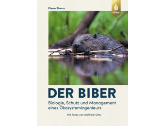 Der Biber