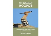 The Eurasian Hoopoe