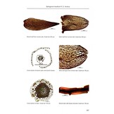 Sphagnum Mosses - The Stars of European Mires