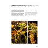 Sphagnum Mosses - The Stars of European Mires