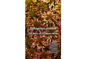 Sphagnum Mosses