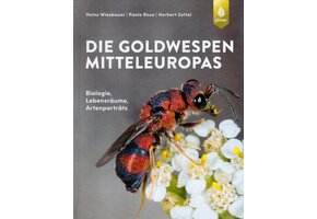 Die Goldwespen Mitteleuropas