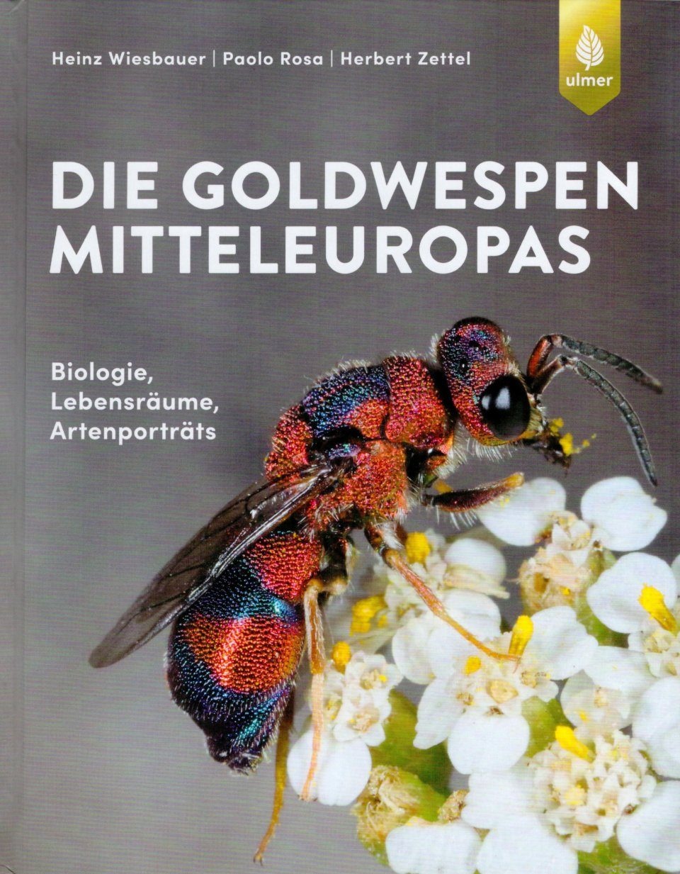 Die Goldwespen Mitteleuropas - Biologie, Lebensräume, Artenporträts