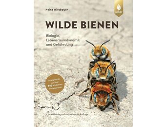 Wilde Bienen