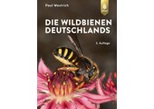 Die Wildbienen Deutschlands