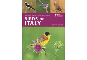 Birds of Italy