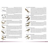 Birds of Greater Southern Africa