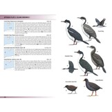 Birds of Greater Southern Africa