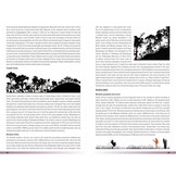 Birds of Greater Southern Africa