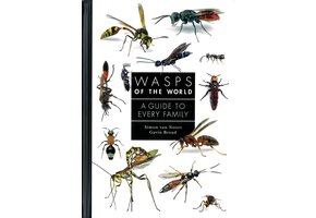 Wasps of the World