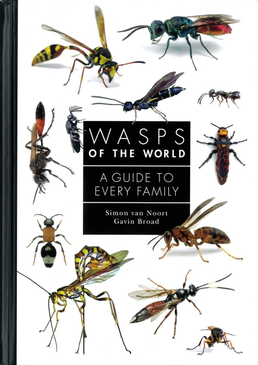 Wasps of the World - A Guide to Every Family