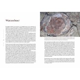 Fascinerende fossielen - Van dinosaurus tot reuzenalk: 50 verdwenen werelden