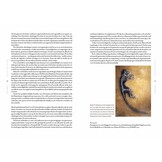 Fascinerende fossielen - Van dinosaurus tot reuzenalk: 50 verdwenen werelden