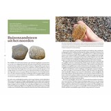 Fascinerende fossielen - Van dinosaurus tot reuzenalk: 50 verdwenen werelden