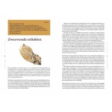 Fascinerende fossielen - Van dinosaurus tot reuzenalk: 50 verdwenen werelden