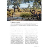 Rewilding - De vernieuwende wetenschap van ecologisch herstel