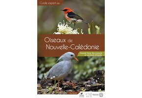 Guide des Oiseaux de Nouvelle-Calédonie