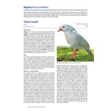 Guide des Oiseaux de Nouvelle-Calédonie