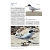 Guide des Oiseaux de Nouvelle-Calédonie