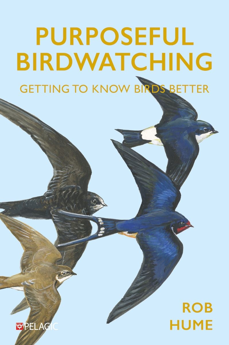 Purposeful Birdwatching - Getting to Know Birds Better