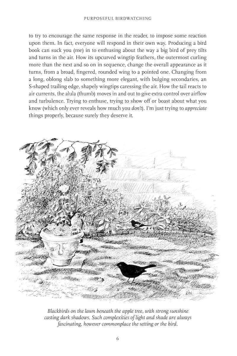 Purposeful Birdwatching - Getting to Know Birds Better