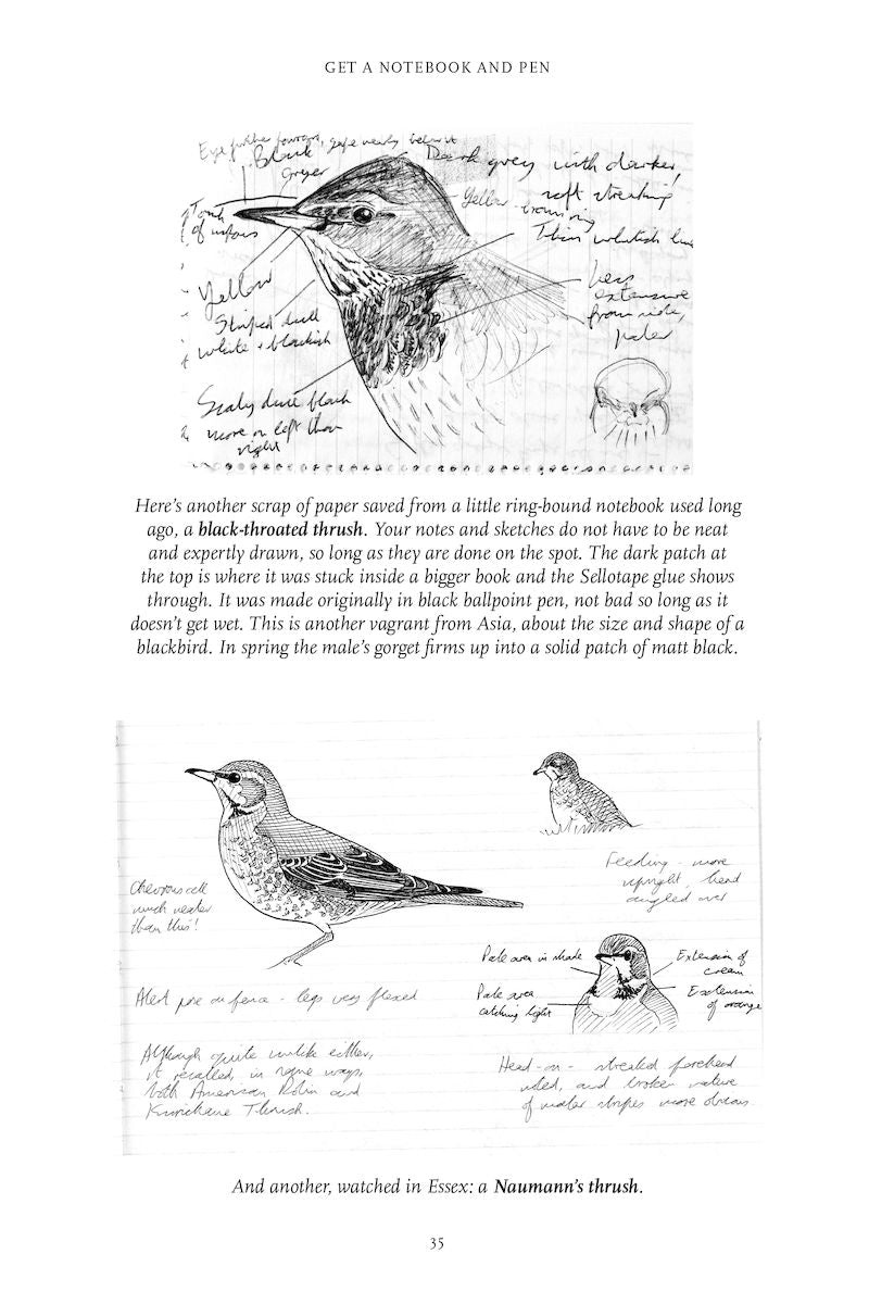 Purposeful Birdwatching - Getting to Know Birds Better